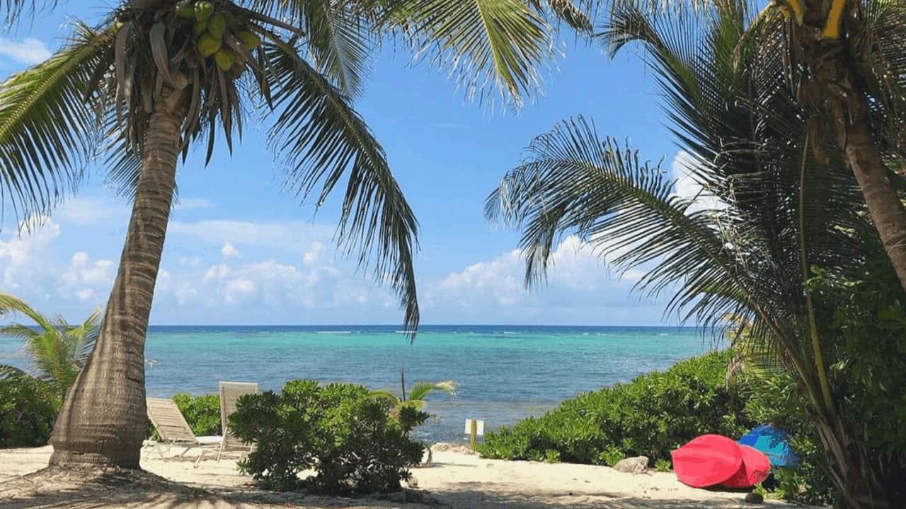 Akumal turtle experience & snorkelling Opatrip