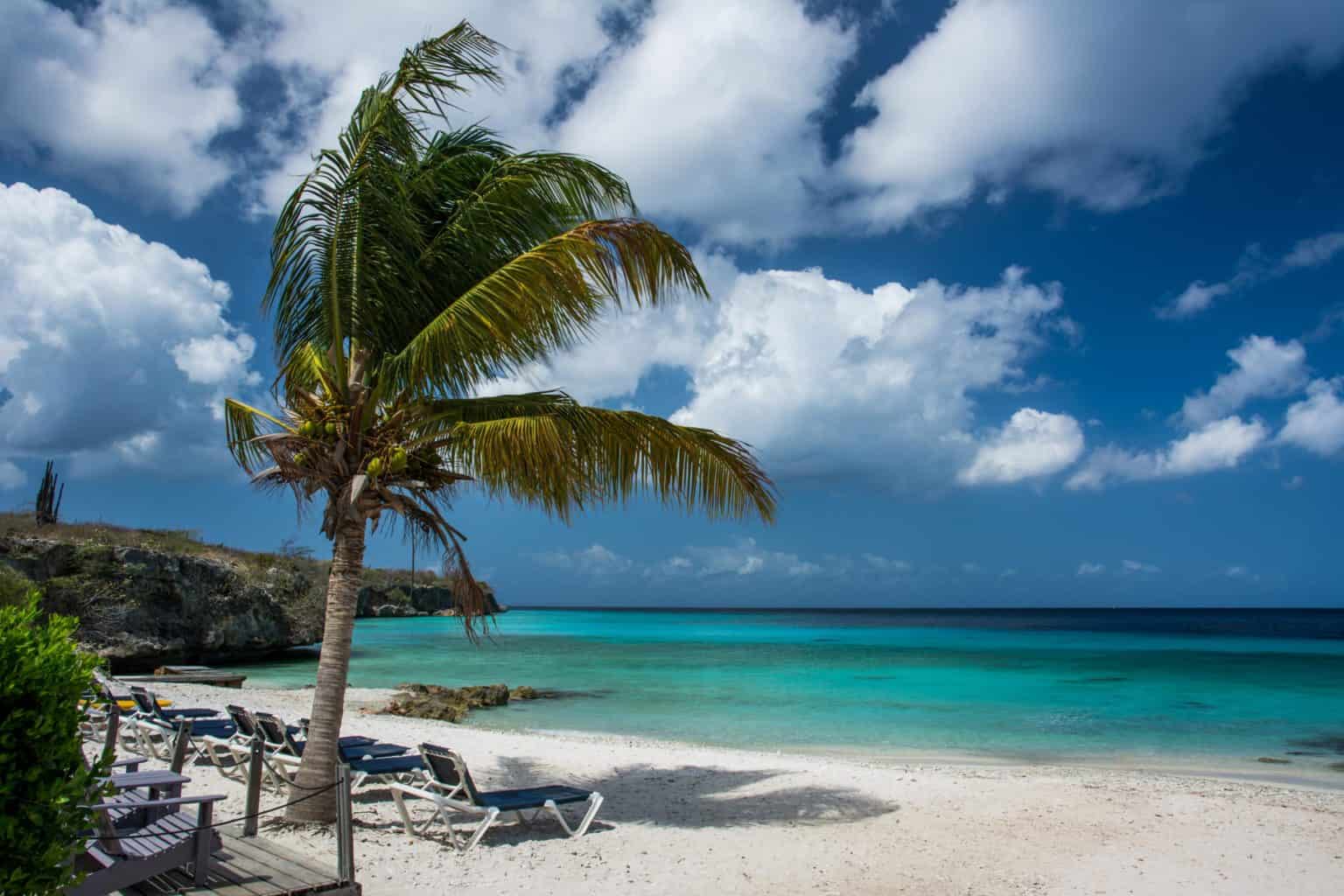 The Best of Playa del Carmen Walking Tour