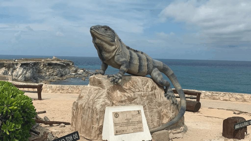 The Best of Isla Mujeres Walking Tour