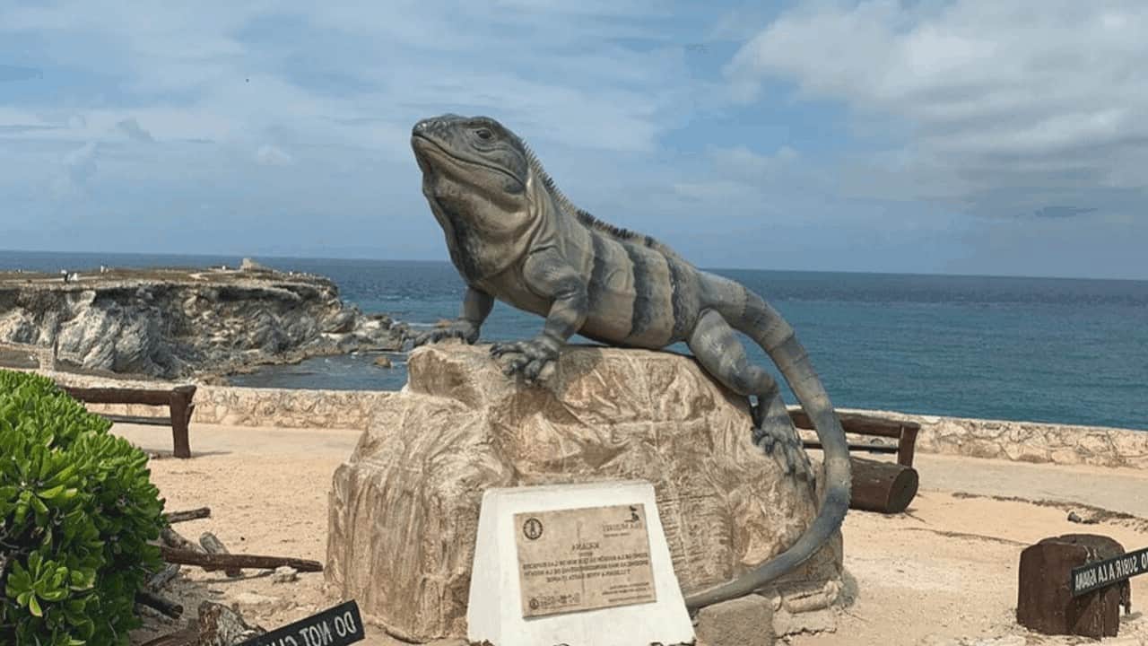 The Best of Isla Mujeres Walking Tour