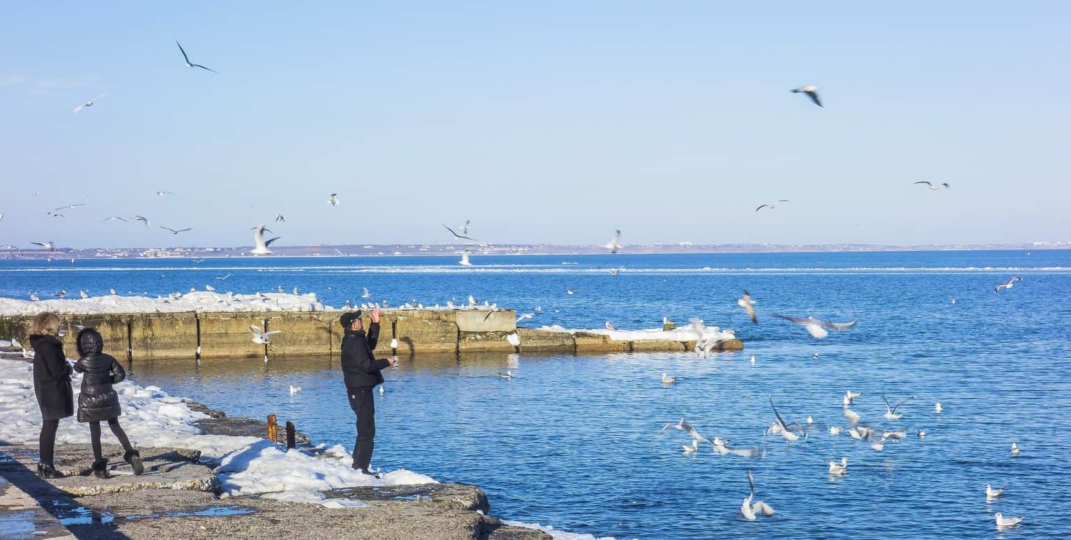 The best of Odessa city Walking tour 4