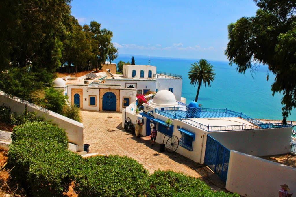 Artistic Sidi Bou Said Walking tour