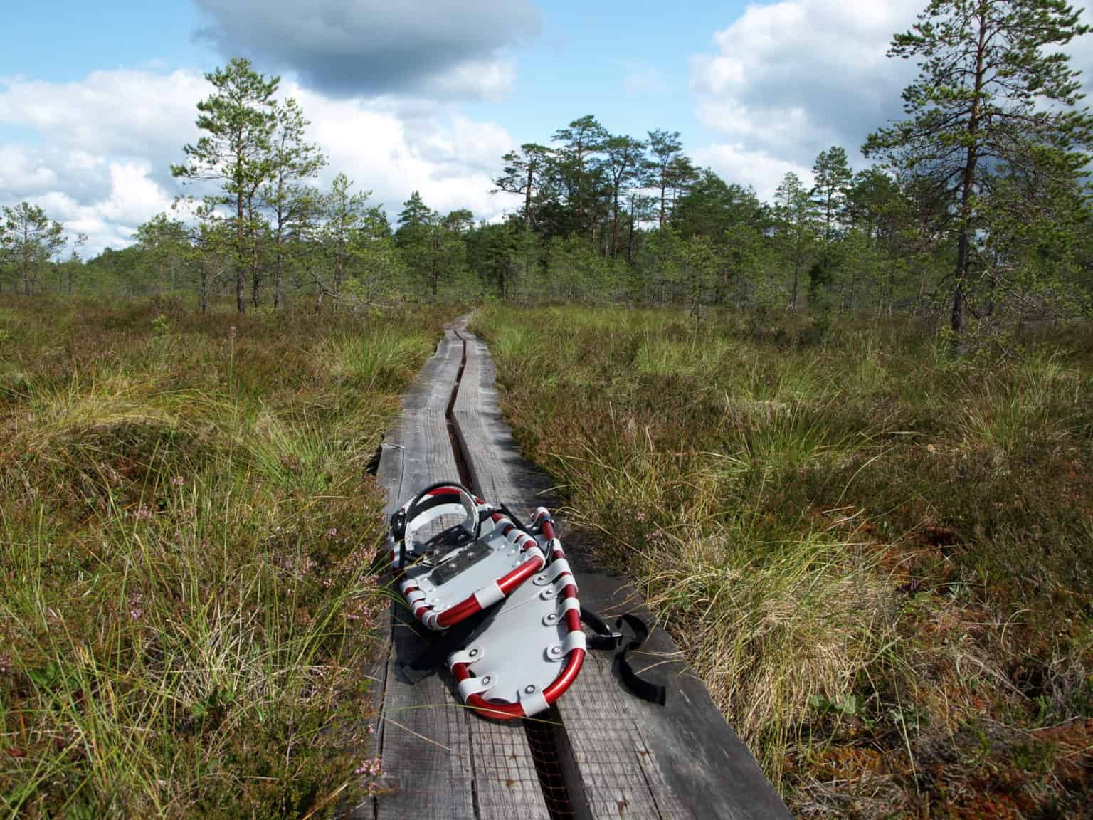 Bogshoe hiking in Latvia3