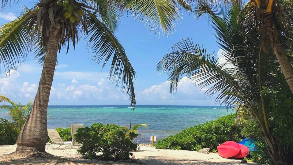 The Best of Akumal Walking Tour