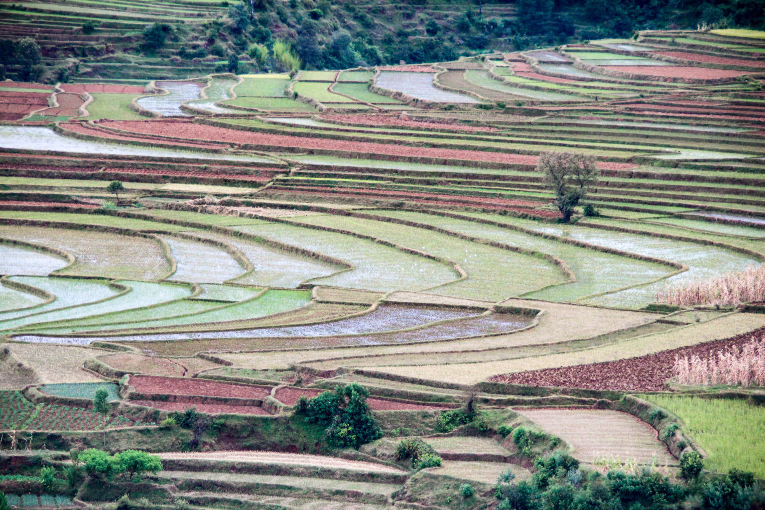 Walking tour in Antsirabe