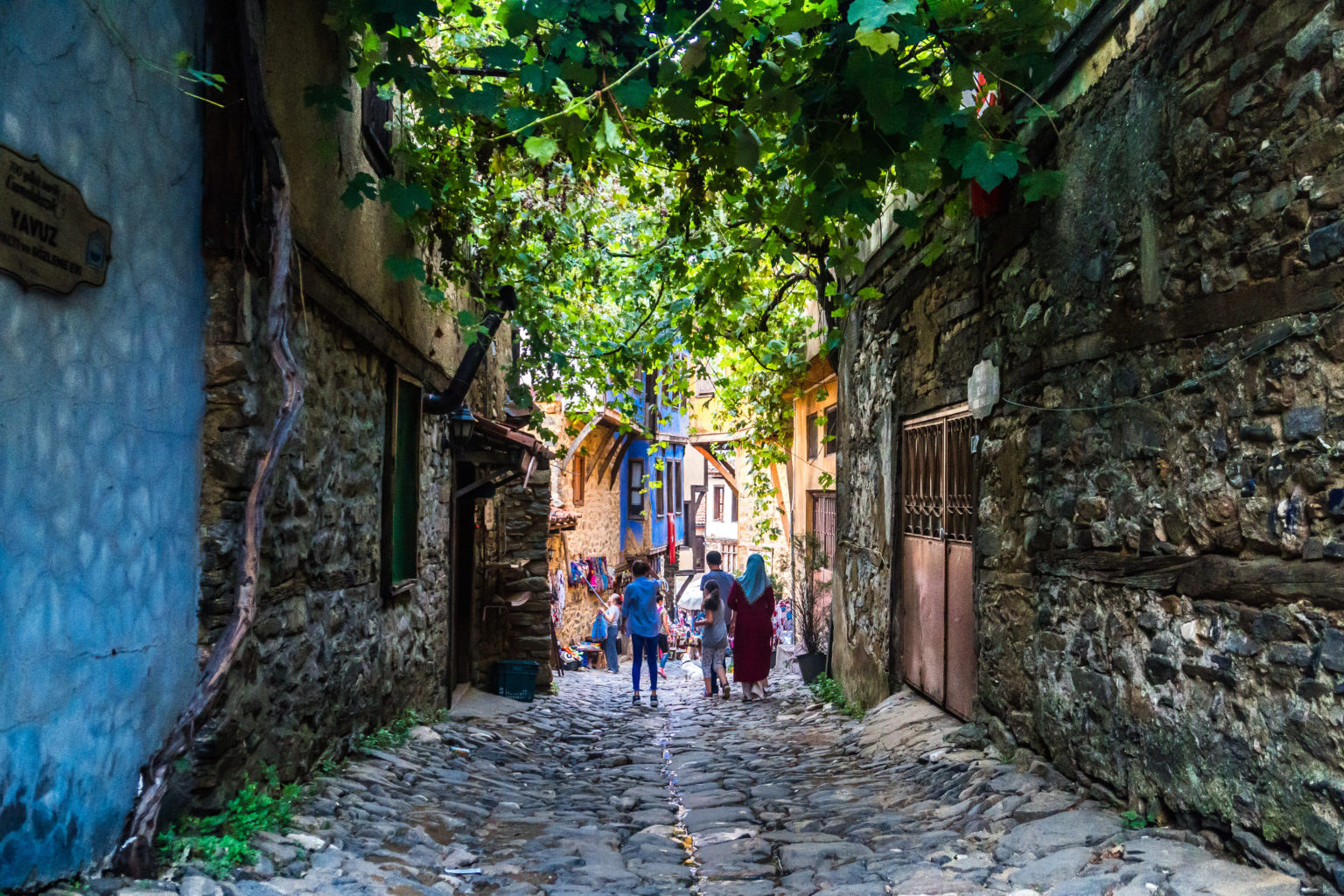 Walking Tour in Bursa