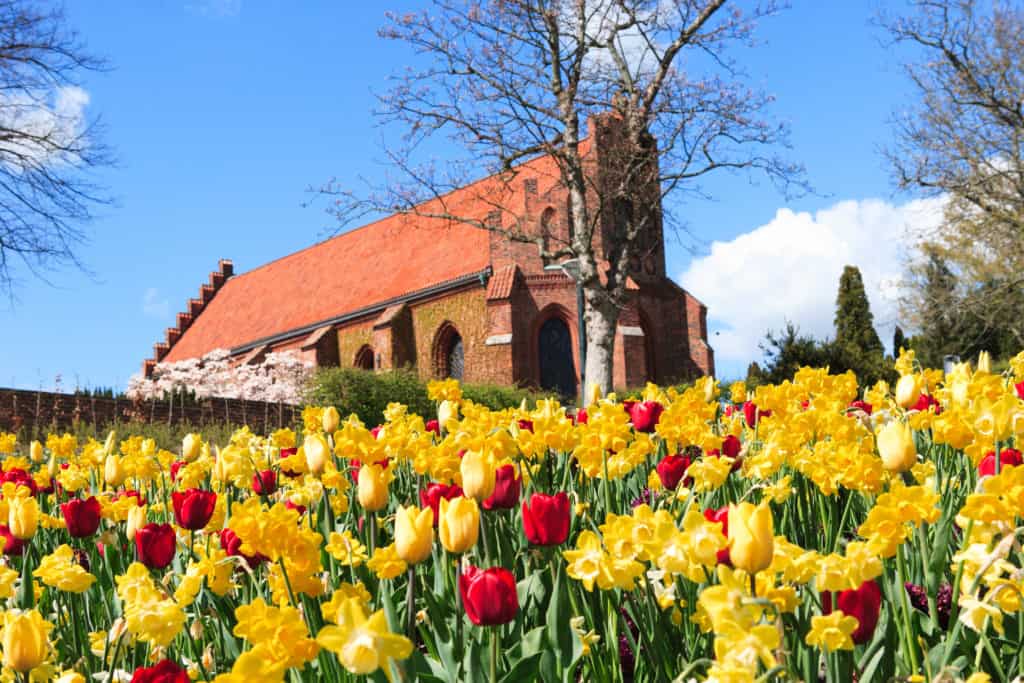 Walking Tour in Lund