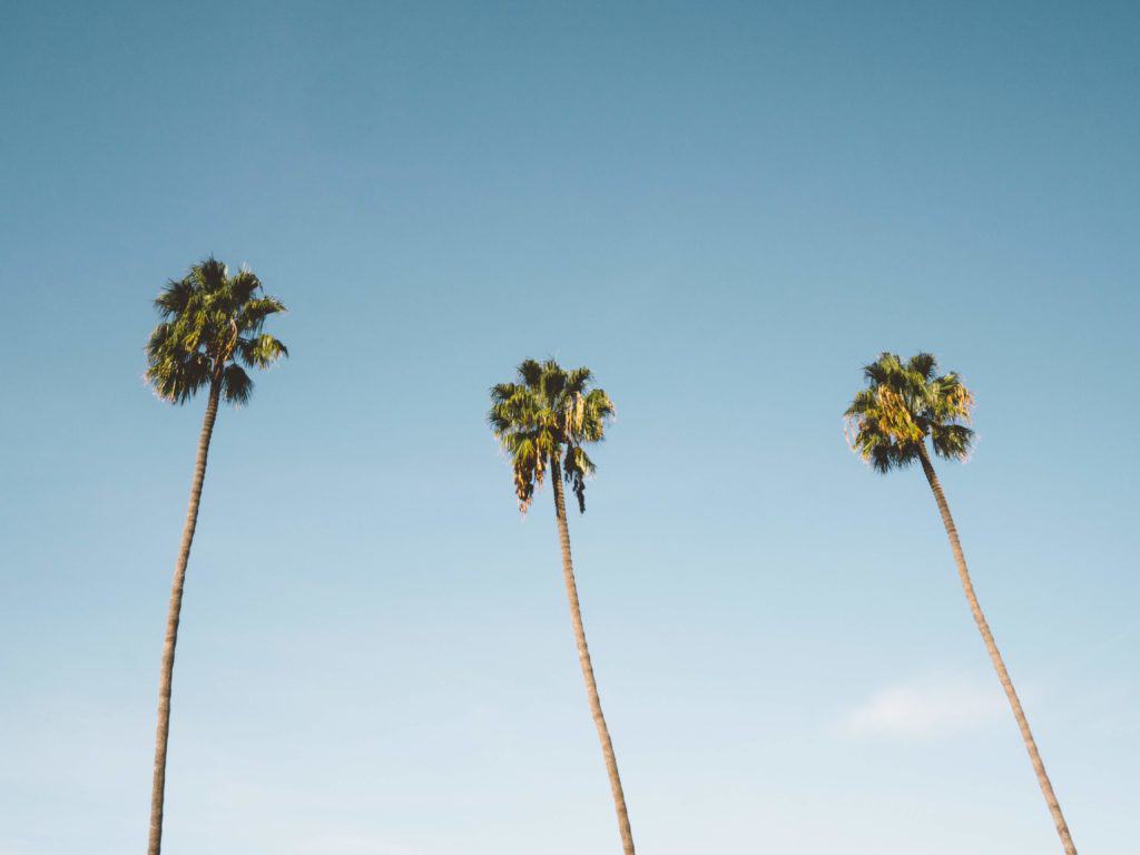 Walking tour in San Diego