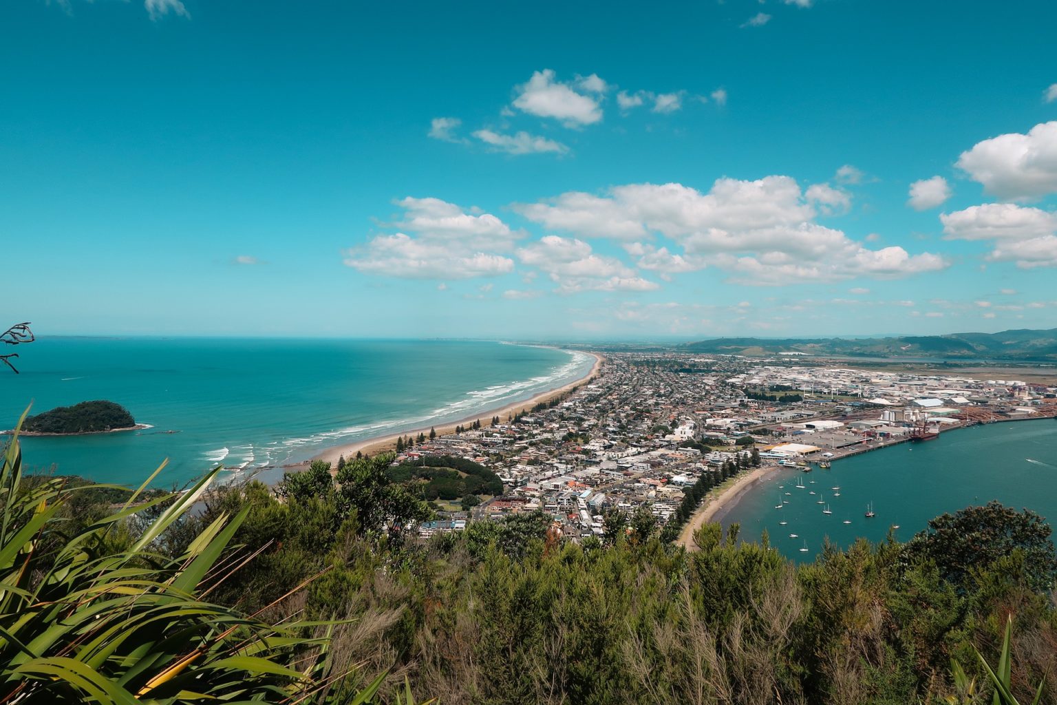 Walking tour in Tauranga