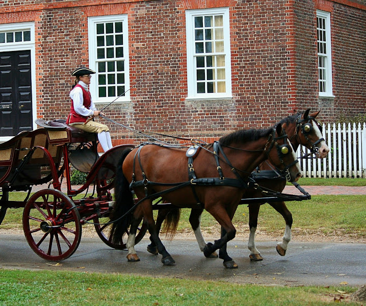 Walking Tour In Williamsburg For Seniors