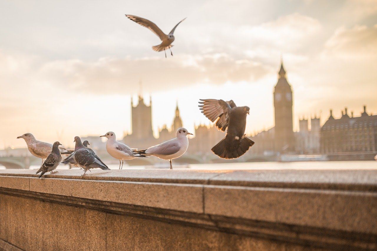 Family walking tour in London