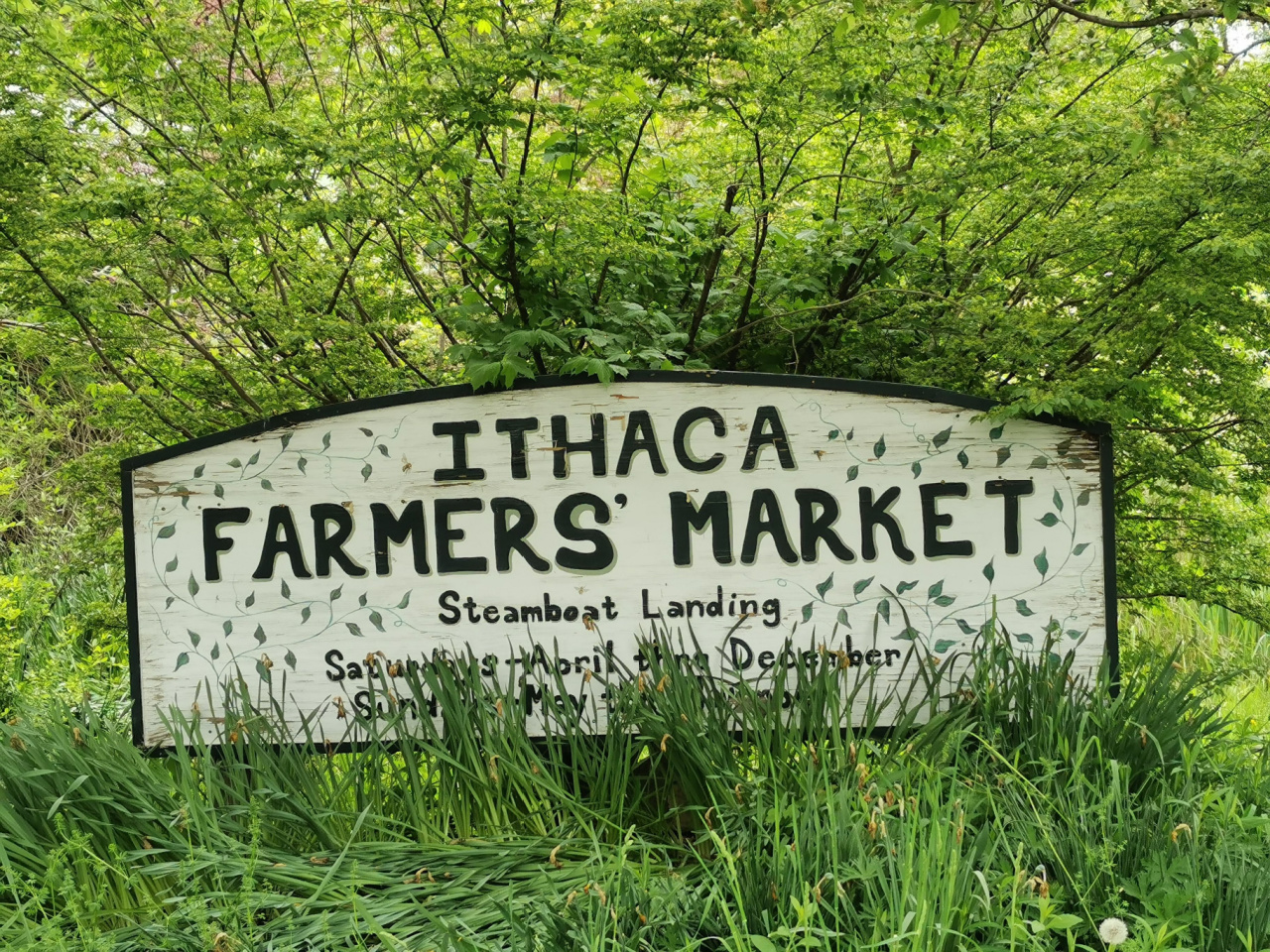 The Best of Ithaca Farmers Market Tour Opatrip