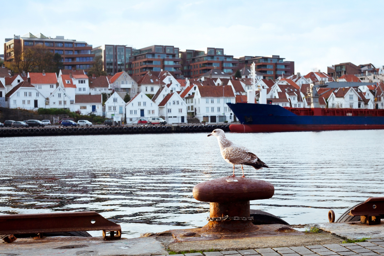 Private Guided Walking Tour Stavanger Highlights with Pickup